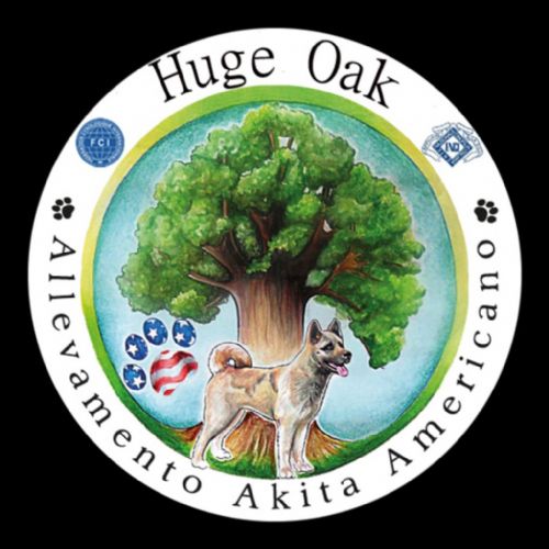 Huge oak