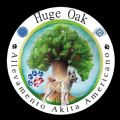 Huge Oak