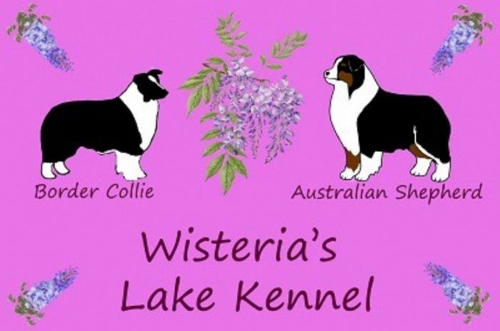 Wisteria's lake