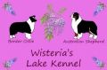 Wisteria's Lake