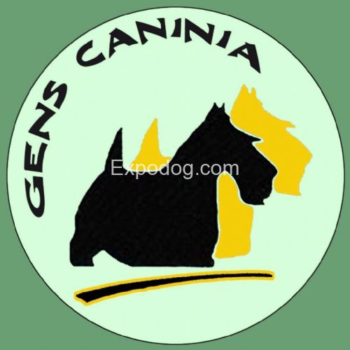 Gens caninia