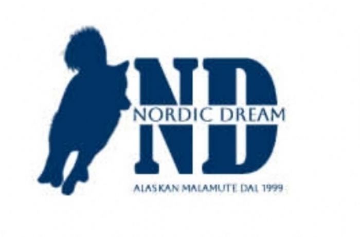 Nordic dream